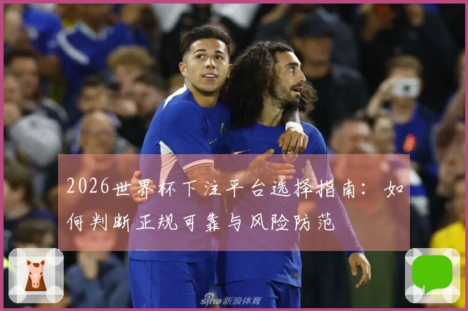 2026世界杯下注平台选择指南：如何判断正规可靠与风险防范