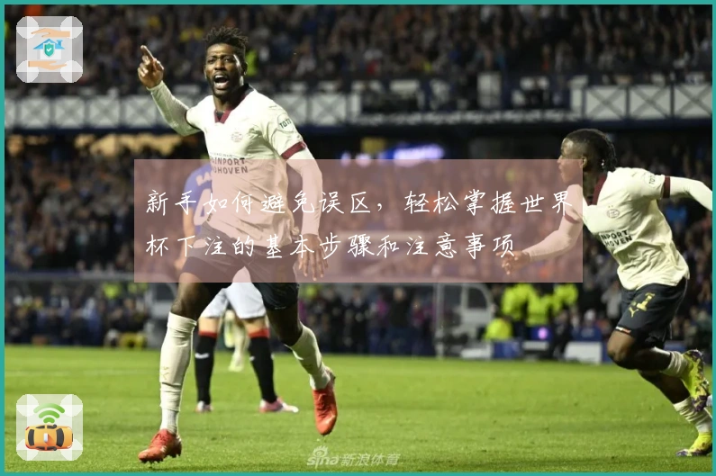 新手如何避免误区，轻松掌握世界杯下注的基本步骤和注意事项
