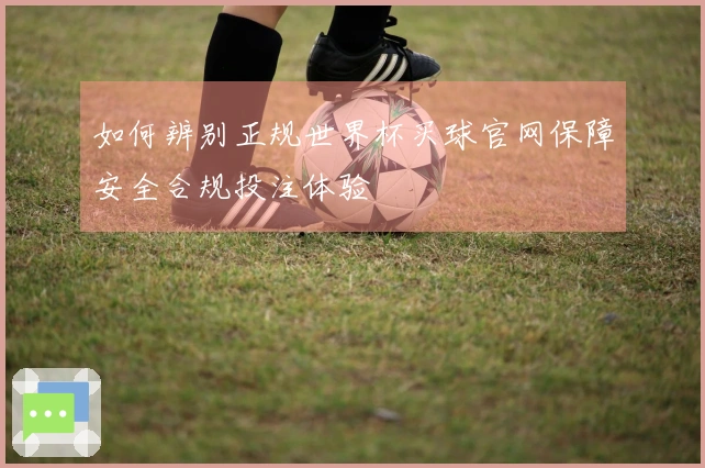 如何辨别正规世界杯买球官网保障安全合规投注体验
