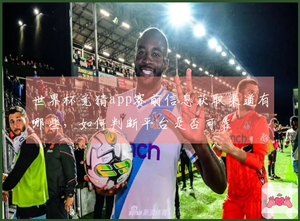 世界杯竞猜app赛前信息获取渠道有哪些，如何判断平台是否可靠